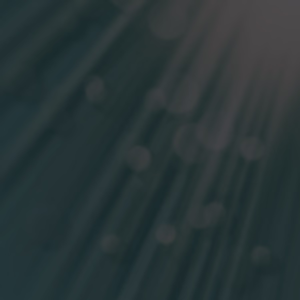 Graffiti gegen Bomben auf Wohngebiete | Werksviertel-Mitte München